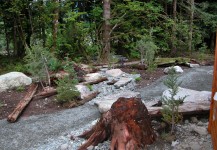 Granite Outcropping Rocks